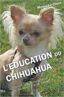 L'éducation du chien