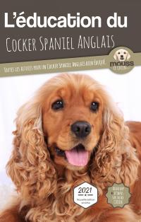 L'éducation du Cocker Spaniel Anglais