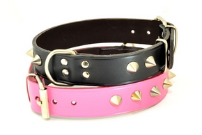Collier cuir chien