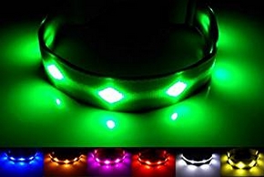 Collier vert lumineux pour chien