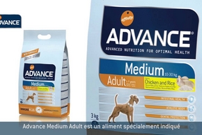 Tout savoir sur les croquettes Advance pour chien !