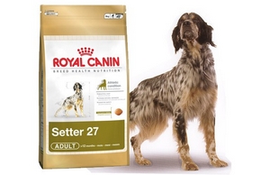 Tout savoir sur les croquettes Royal Canin pour chien