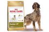 Croquettes royal canin chien