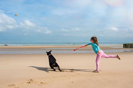 Dobermann lance balle plage adobestock 279333495