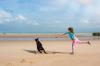 Dobermann lance balle plage adobestock 279333495