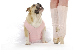 Dog dancing