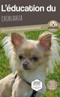 L'éducation du Chihuahua