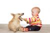 Enfant joue avec chien
