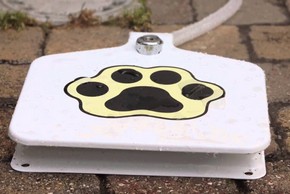 Fontaine pedal eau pour chien