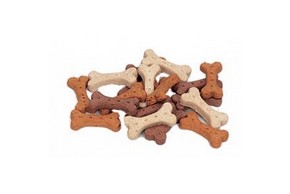 Friandise chien biscuit