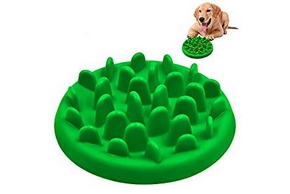 Gamelle anti glouton avec un golden retriever