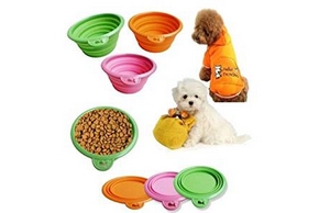 Gamelles pliables pour chien