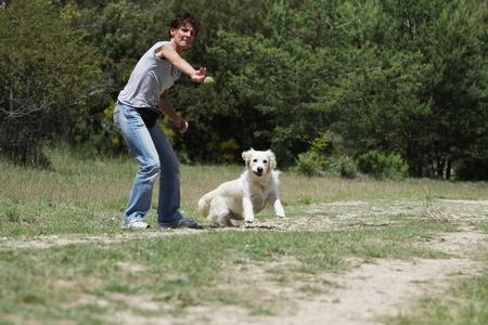 Goden retriever joue avec son maitre adobestock 29580980