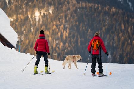 Golden retriever ski joering adobestock 413730096