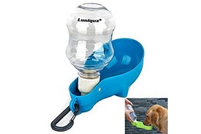 Gourde bleue pour chien