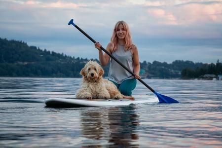 Cani-paddle : astuces, matériel, précautions, où pratiquer ?