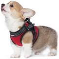 Harnais anti evasion petit chien rabitgoo 1154 harnais