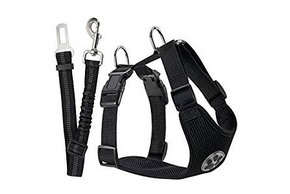 Harnais en nylon noir pour chien