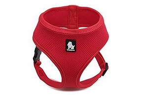 Harnais rouge pour petit chien