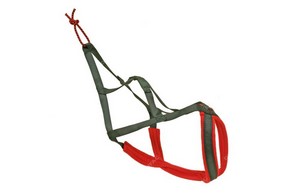 Harnais traction