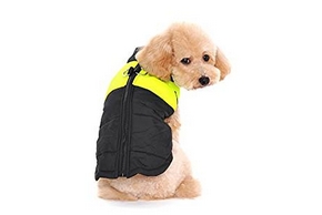 Harnais veste pour petit chien