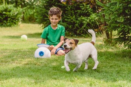 Jack russel lance balle automatique adobestock 517674060