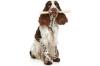 Jouets chien pas cher