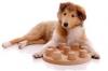 Jouets chiot