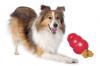 Jouets kong chien