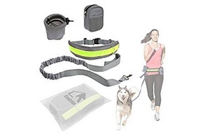 Kit pour cani cross