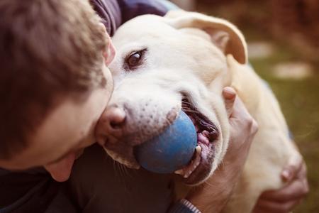 Labrador et son maitre