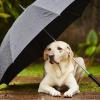 Labrador retriever parapluie adobestock 62765118 2