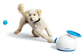 lanceur balle automatique chien