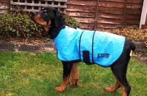 manteau pour chien utile ou pas