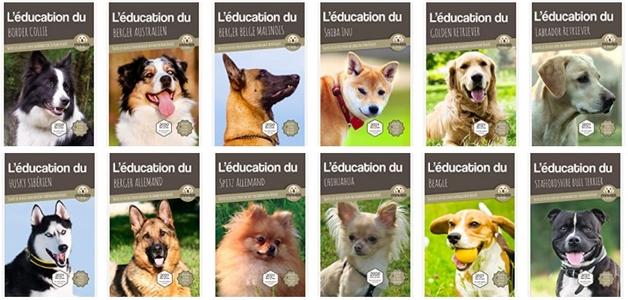 Livres mouss le chien