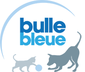 Logo bulle bleue