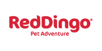 Logo red dingo 1