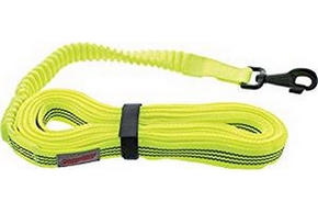 Longe elastique pour chien