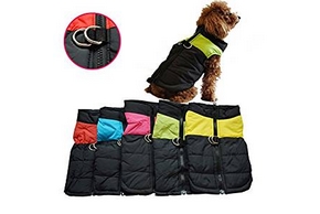 Manteau d hiver pour chien