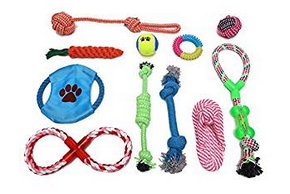 Panel de jouets pour chien