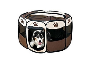 Parc a chien pliable