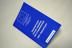 Passeport chien : utilité, contenu, où et quand l'obtenir...