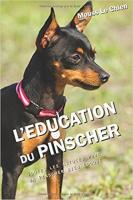L'éducation du chien