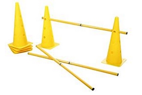 Plots et barres en metal pour agility