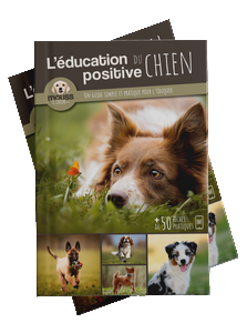 Livre education positive chien