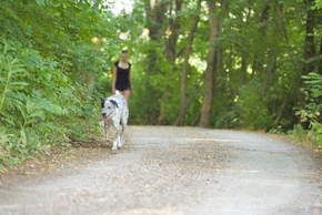 Promeneur