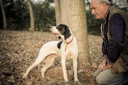 Chien truffier : races, dressage, méthodes, comment faire ?
