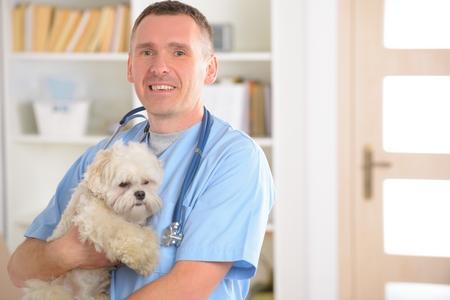 Vaccin contre la maladie de Lyme chez le chien : tique, prix, avis