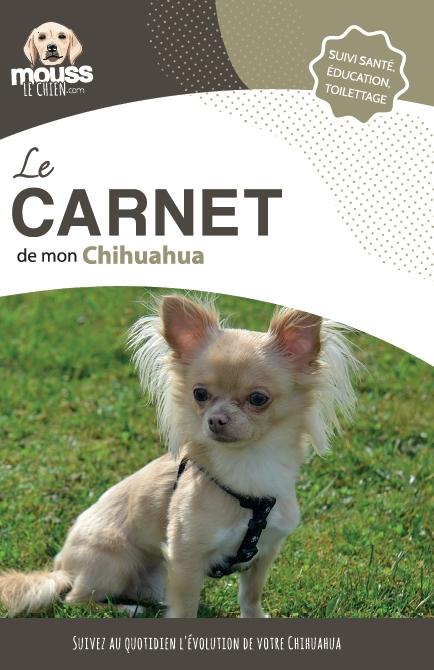 Suivi chihuahua
