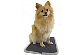 Le tapis Flexibed pour un confort optimal pour votre chien